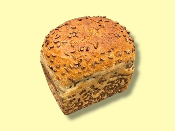 Zonnebrood